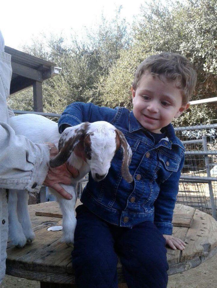 Jose Ruiz - Max and Baby Goat.jpg